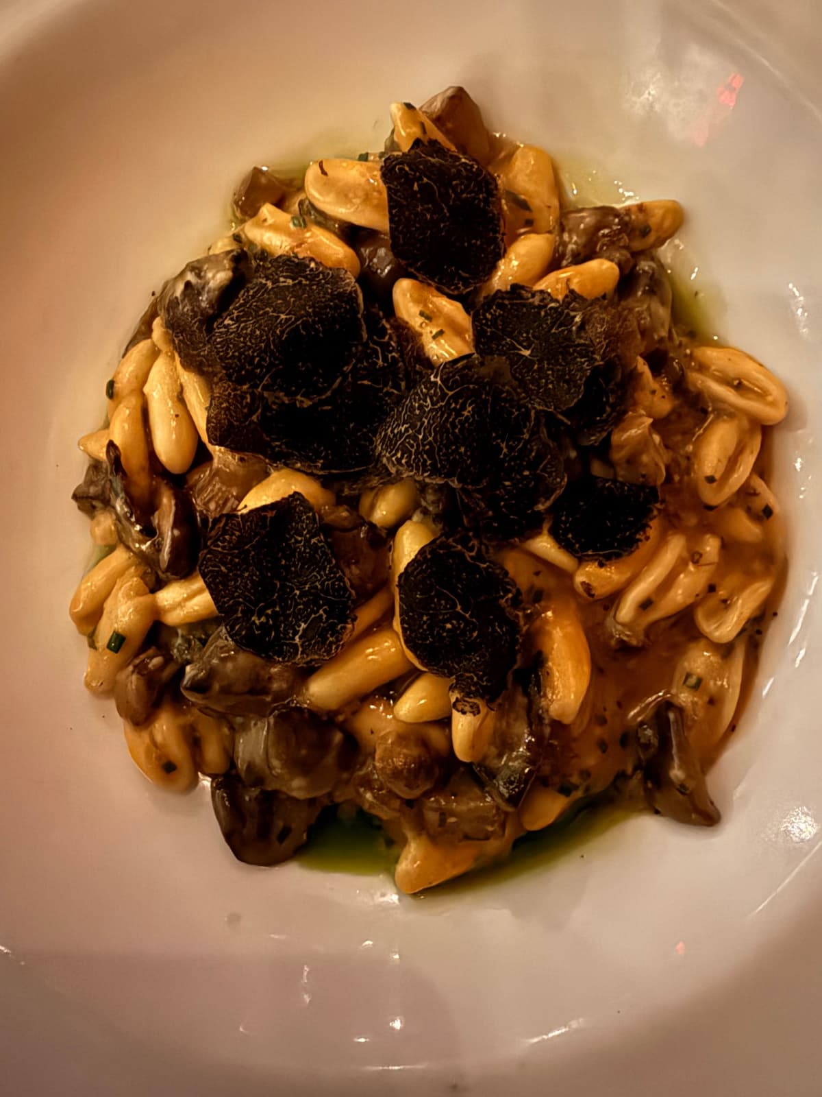 Truffle Pasta